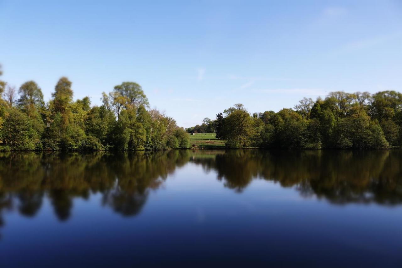 Вилла La Tiny Du Parc : Saint Symphorien Des Monts Ernee Экстерьер фото